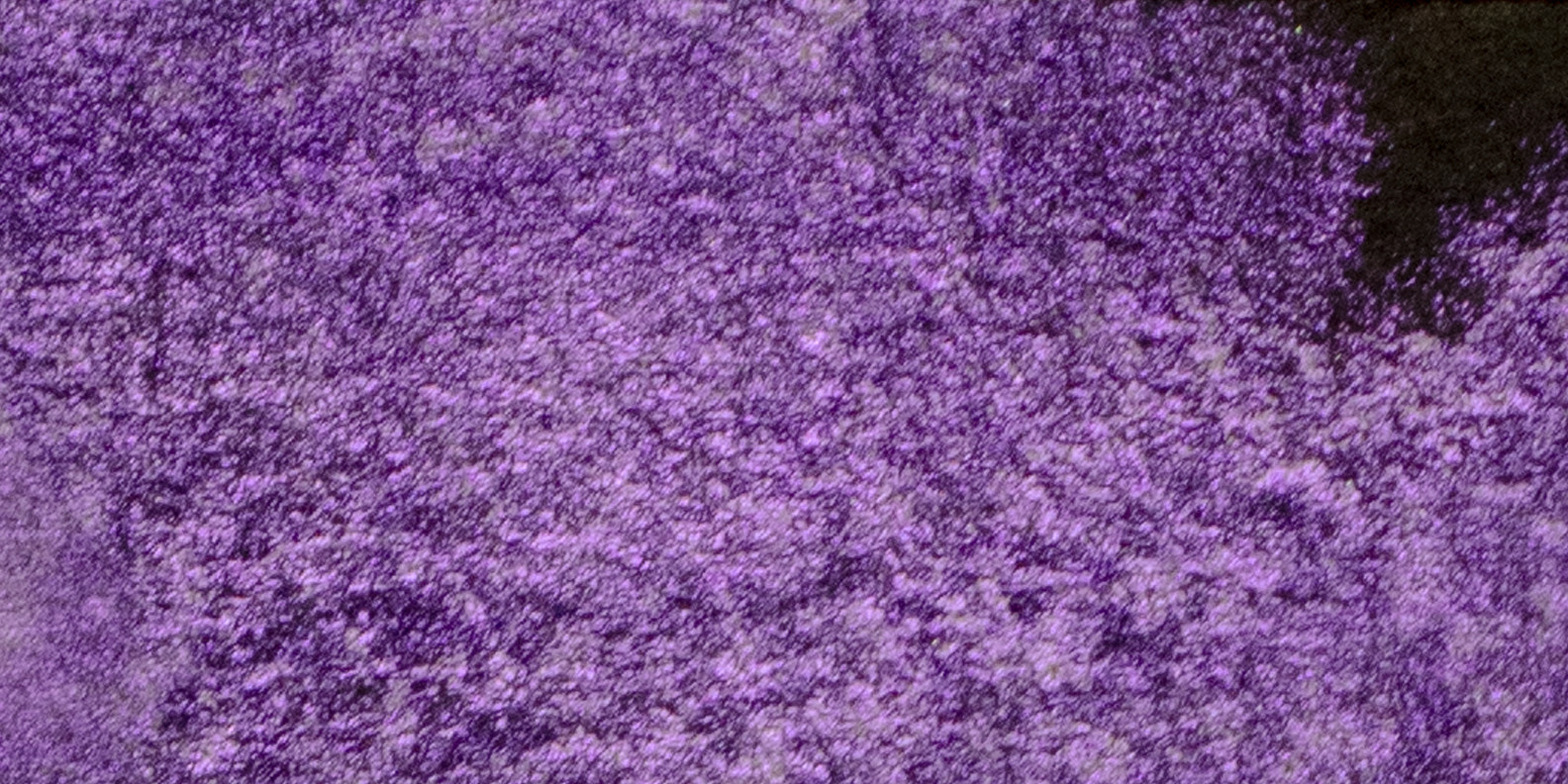 Violet Shine