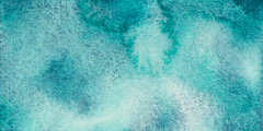 Mint Dream