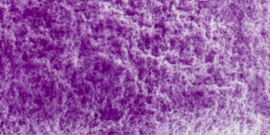 Cobalt Violet deep